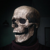 3D Full Head Evil Skull Mask