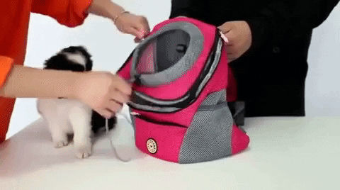 Fur Bag™ - Ryggsäck För Hund I Sommar