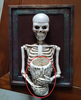 Skeletoy™ - Spökhus Skull Halloween Dekoration