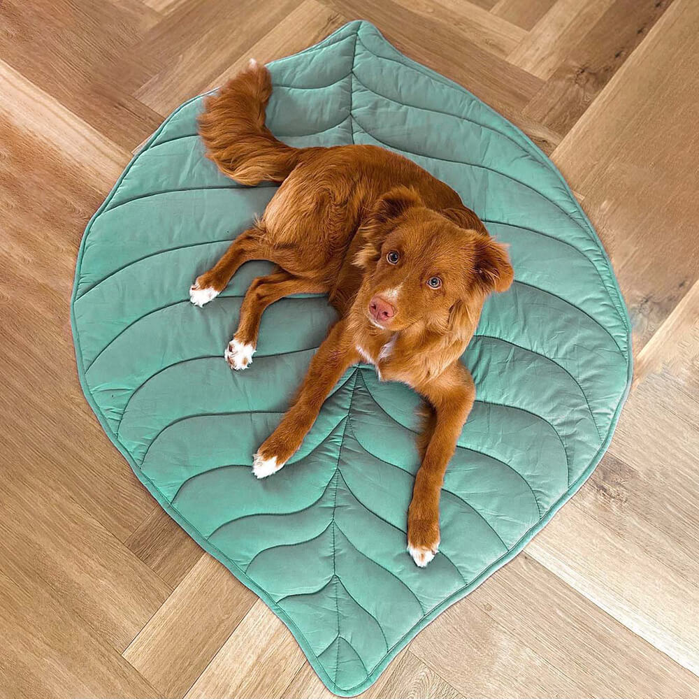 Comfy Nest™ - Blad Form Hund Matta